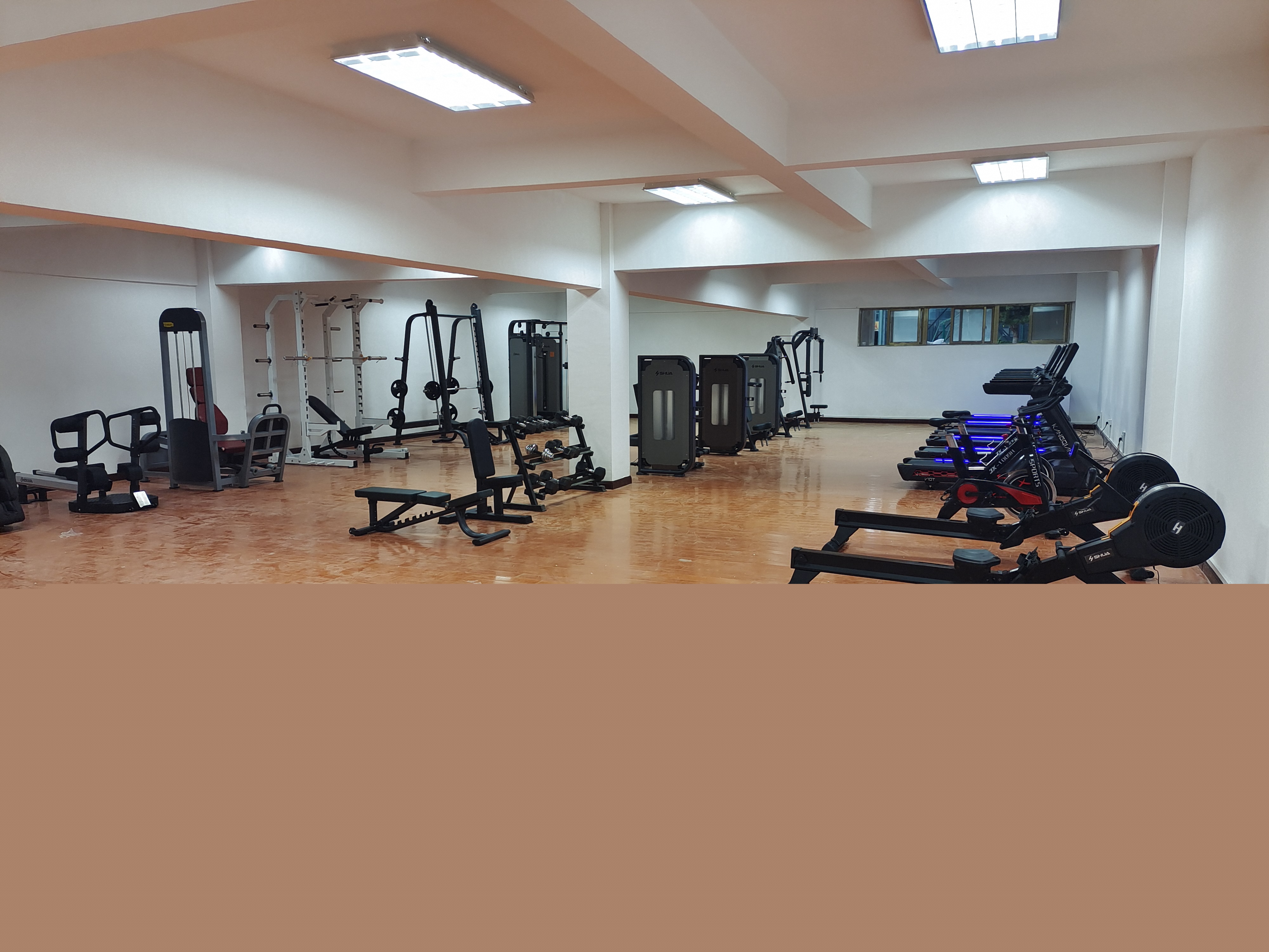 健身房器材供應(yīng)商康強(qiáng)廠家直銷